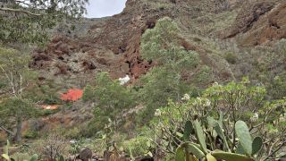 2024-11-GranCan-Guayadeque-042.jpg